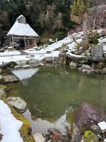 妙成寺の{uncategorized: "未分類", other: "その他", undefined: "問題あり", building: "その他建物", grave: "お墓", sacred_gate: "鳥居", guardian: "狛犬", statue: "像", buddha: "仏像", history: "歴史", nature: "自然", garden: "庭園", animal: "動物", pagoda: "塔", temizu: "手水舎", mountain_gate: "山門・神門", sanctuary: "本殿・本堂", subordinate: "末社・摂社", art: "芸術", scenery: "景色", jizo: "地蔵", ema: "絵馬", goshuin: "御朱印", omikuji: "おみくじ", items: "授与品その他", amulet: "お守り", goshuincho: "御朱印帳", eats: "食事", festival: "お祭り", votive_dance: "神楽", shichigosan: "七五三参", wedding: "結婚式", experience: "体験その他", initially: "初詣", around: "周辺", anti_infection: "感染症対策"}