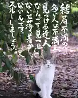 専念寺(大阪府)