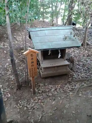 川越氷川神社(埼玉県)