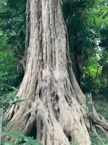 舊城寺(旧城寺)(神奈川県)