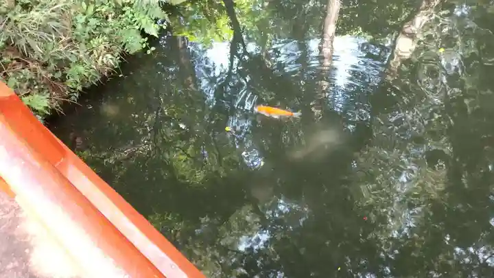 大神神社(栃木県)