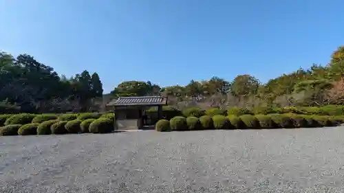 隨心院（随心院）(京都府)