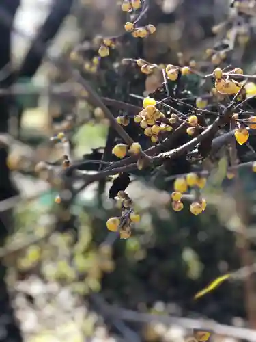 木舟山　順教寺の自然