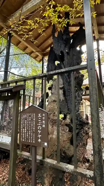 柳津虚空蔵尊 寳性院(宮城県)