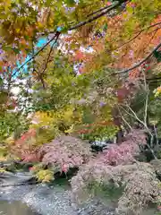 小國神社(静岡県)