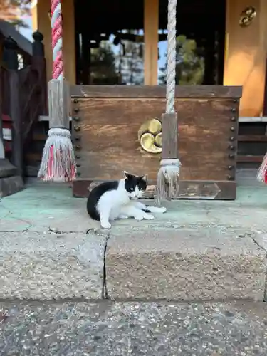 榛名神社(群馬県)
