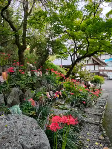 金生山 明星輪寺の庭園