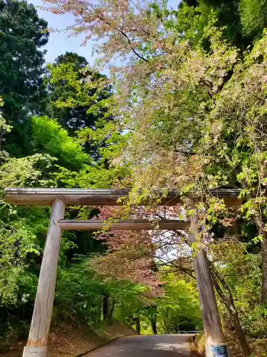 土津神社｜こどもと出世の神さまの鳥居