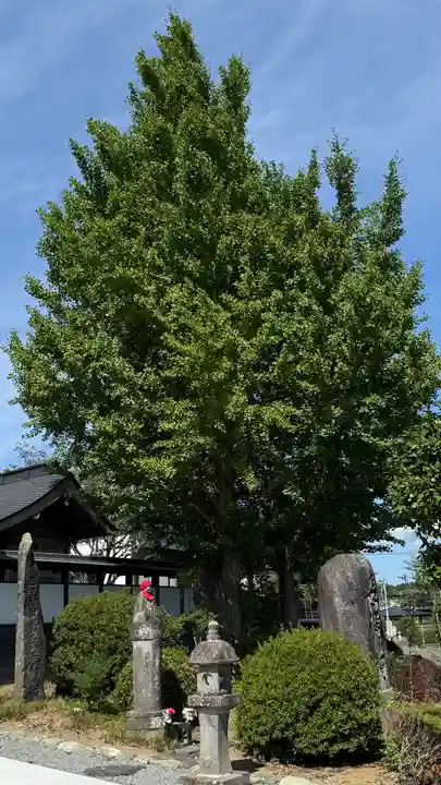 長源寺(宮城県)