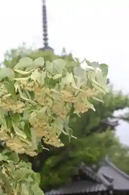 真正極楽寺(真如堂)(京都府)