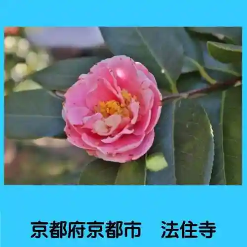 後白河院御聖蹟　法住寺の自然