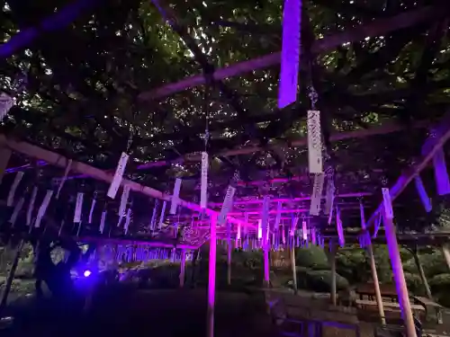 金蛇水神社の{uncategorized: "未分類", other: "その他", undefined: "問題あり", building: "その他建物", grave: "お墓", sacred_gate: "鳥居", guardian: "狛犬", statue: "像", buddha: "仏像", history: "歴史", nature: "自然", garden: "庭園", animal: "動物", pagoda: "塔", temizu: "手水舎", mountain_gate: "山門・神門", sanctuary: "本殿・本堂", subordinate: "末社・摂社", art: "芸術", scenery: "景色", jizo: "地蔵", ema: "絵馬", goshuin: "御朱印", omikuji: "おみくじ", items: "授与品その他", amulet: "お守り", goshuincho: "御朱印帳", eats: "食事", festival: "お祭り", votive_dance: "神楽", shichigosan: "七五三参", wedding: "結婚式", experience: "体験その他", initially: "初詣", around: "周辺", anti_infection: "感染症対策"}