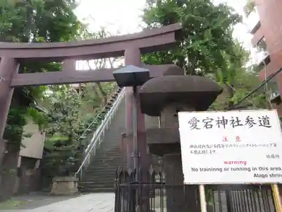 愛宕神社の鳥居