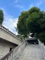 桐ヶ谷氷川神社の景色