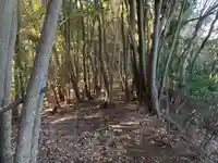 浅間神社の周辺