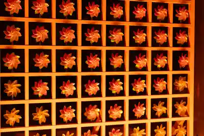 白山神社(新潟県)