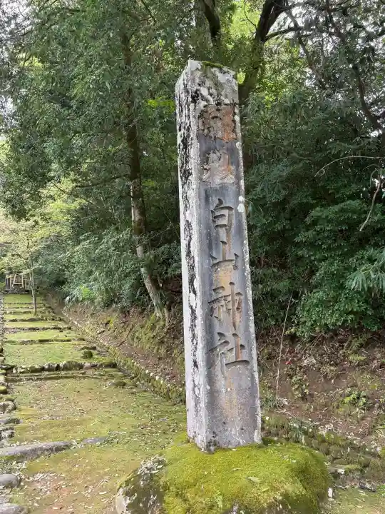平泉寺白山神社の{uncategorized: "未分類", other: "その他", undefined: "問題あり", building: "その他建物", grave: "お墓", sacred_gate: "鳥居", guardian: "狛犬", statue: "像", buddha: "仏像", history: "歴史", nature: "自然", garden: "庭園", animal: "動物", pagoda: "塔", temizu: "手水舎", mountain_gate: "山門・神門", sanctuary: "本殿・本堂", subordinate: "末社・摂社", art: "芸術", scenery: "景色", jizo: "地蔵", ema: "絵馬", goshuin: "御朱印", omikuji: "おみくじ", items: "授与品その他", amulet: "お守り", goshuincho: "御朱印帳", eats: "食事", festival: "お祭り", votive_dance: "神楽", shichigosan: "七五三参", wedding: "結婚式", experience: "体験その他", initially: "初詣", around: "周辺", anti_infection: "感染症対策"}