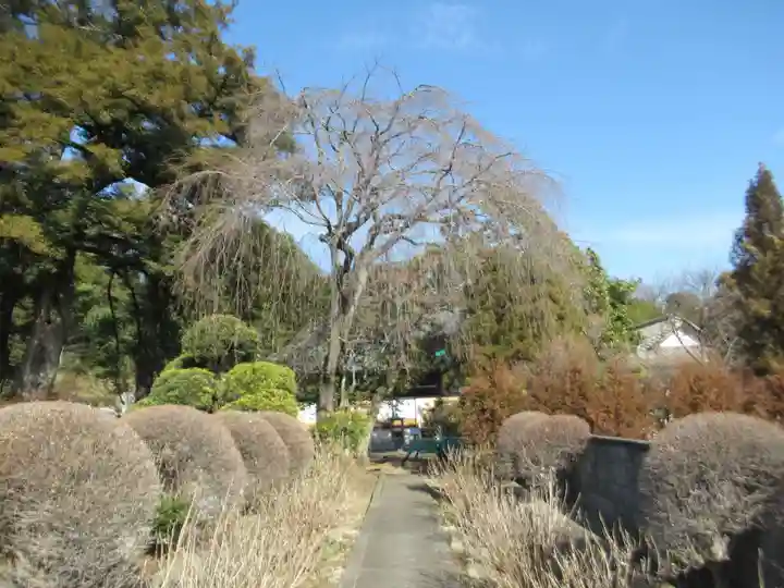 地蔵院(東京都)