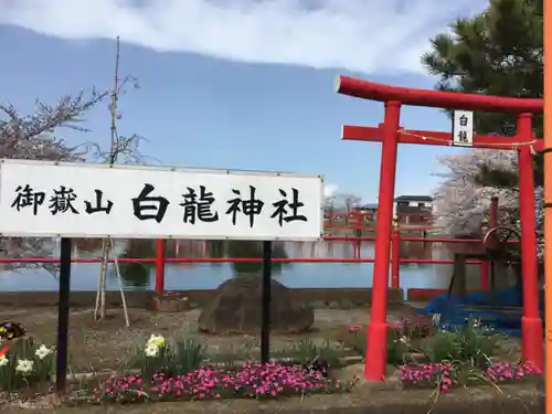 御嶽山 白龍神社の鳥居