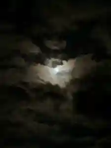 土津神社|こどもと出世の神さまの自然(2021年09月22日(水) 01時07分31秒投稿)