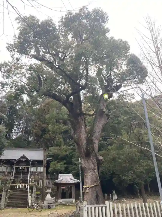 敷島神社(徳島県)