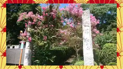 崇禅寺(群馬県)