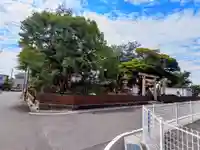 末永神明社の自然