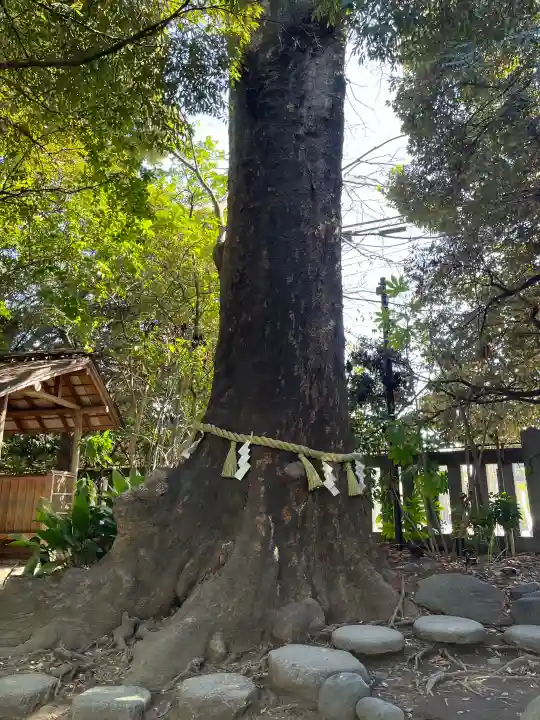 川越氷川神社の{uncategorized: "未分類", other: "その他", undefined: "問題あり", building: "その他建物", grave: "お墓", sacred_gate: "鳥居", guardian: "狛犬", statue: "像", buddha: "仏像", history: "歴史", nature: "自然", garden: "庭園", animal: "動物", pagoda: "塔", temizu: "手水舎", mountain_gate: "山門・神門", sanctuary: "本殿・本堂", subordinate: "末社・摂社", art: "芸術", scenery: "景色", jizo: "地蔵", ema: "絵馬", goshuin: "御朱印", omikuji: "おみくじ", items: "授与品その他", amulet: "お守り", goshuincho: "御朱印帳", eats: "食事", festival: "お祭り", votive_dance: "神楽", shichigosan: "七五三参", wedding: "結婚式", experience: "体験その他", initially: "初詣", around: "周辺", anti_infection: "感染症対策"}