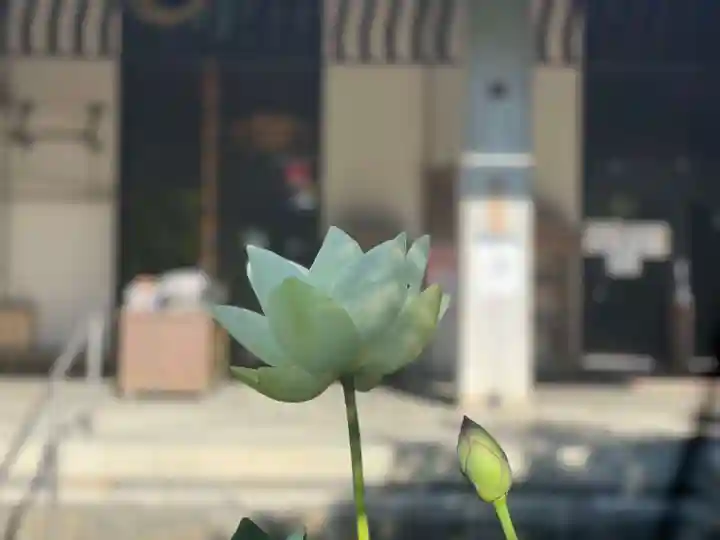 伊勢の国 四天王寺の自然