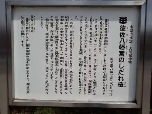 徳佐八幡宮の歴史