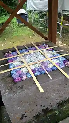 土津神社|こどもと出世の神さまの手水舎