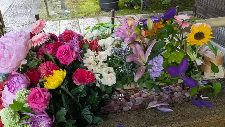 勝林寺(京都府)