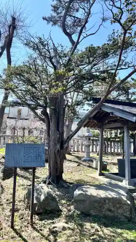 豊川稲荷神社(北海道)