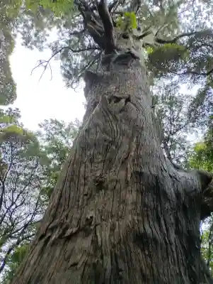 麻賀多神社(千葉県)