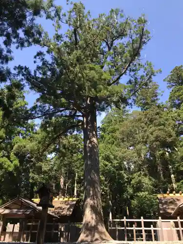 瀧原宮(皇大神宮別宮)の自然