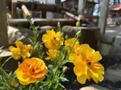 坪沼八幡神社(宮城県)