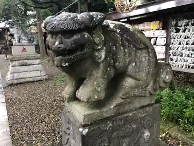 菊田神社の狛犬