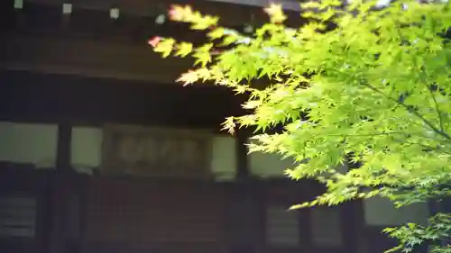 常寂光寺(京都府)