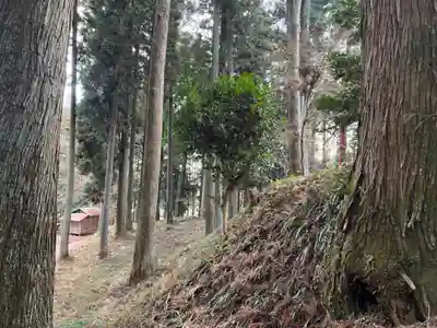 大宮温泉神社(栃木県)