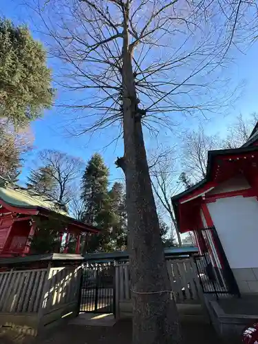 小野神社(東京都)