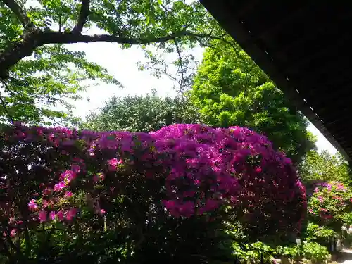 安養院　(田代寺）の庭園