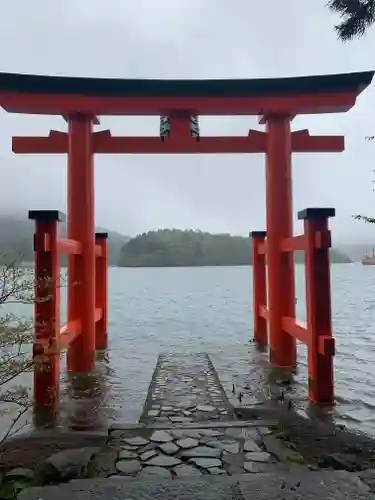 箱根神社の鳥居