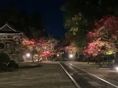 東漸寺(千葉県)