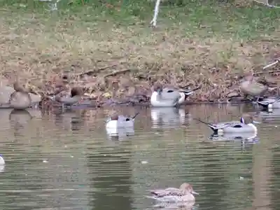 菊田神社の周辺