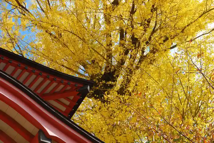 能満寺(山口県)