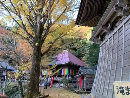 金剛院のその他建物