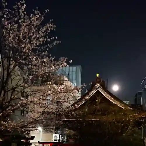 三輪神社の自然