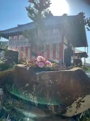 単伝庵(京都府)