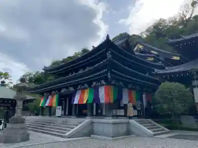 長谷寺の本殿・本堂