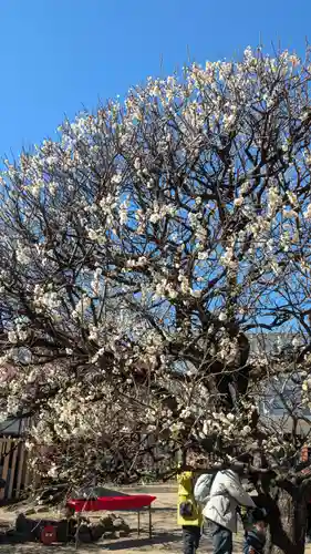 北野神社(東京都)